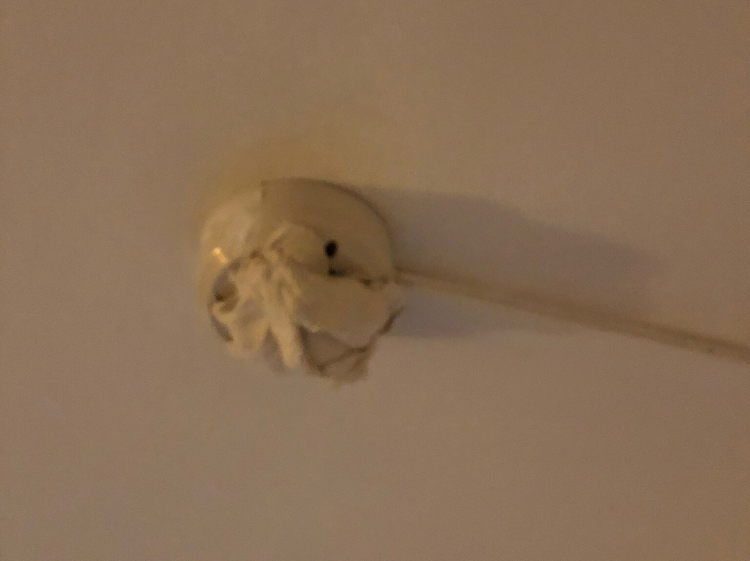 Hôtel C Suites主图