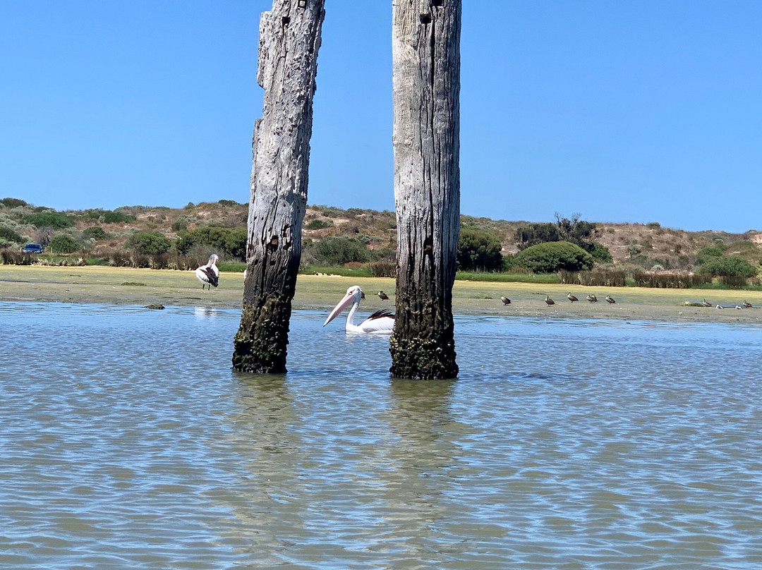 Goolwa Jet Ski Hire景点图片
