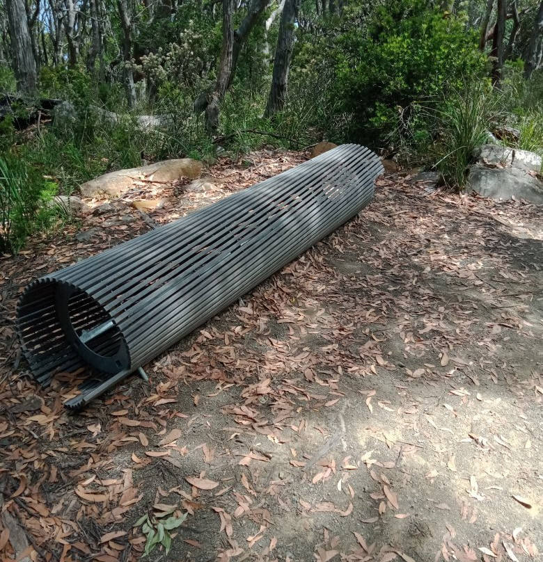 Shipstern Bluff-亚瑟港必去景点