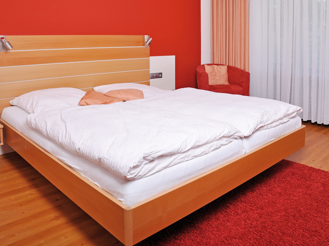Gartenhotel Feldeck主图