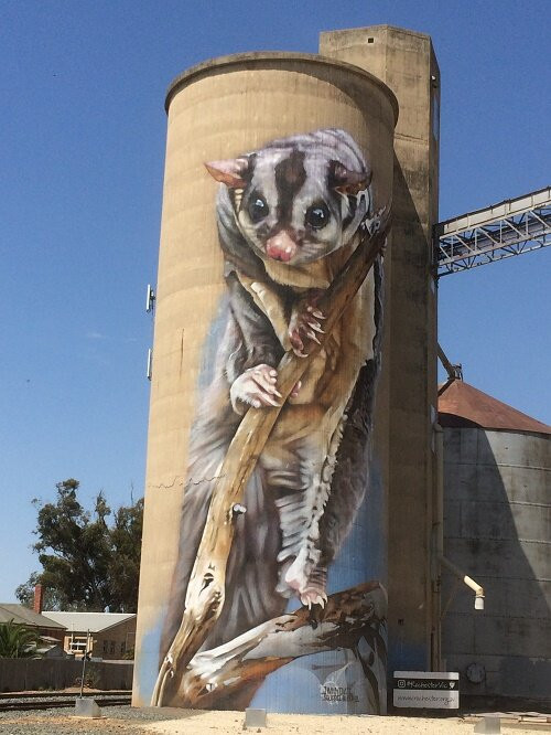 GrainCorp Silo Art-Rochester必去景点