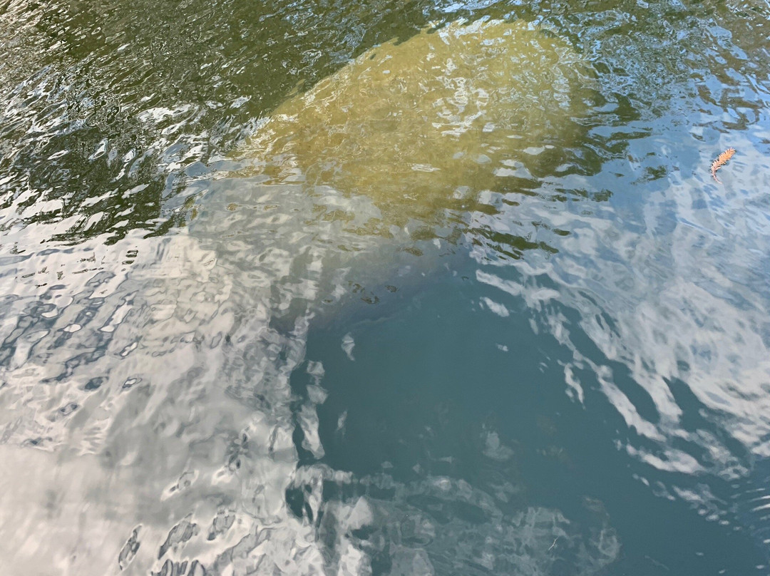 TNT Hideaway Day Tours-Crawfordville必去景点