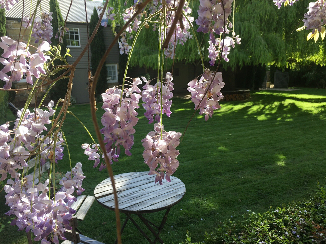 Red Feather Inn主图