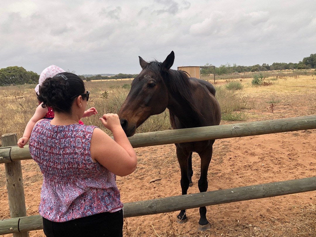 Greenough Wildlife & Bird Park-Greenough必去景点