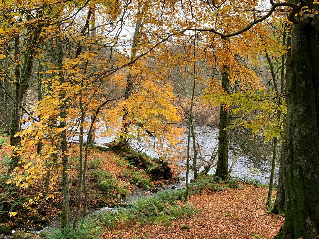 High Force Waterfall景点图片