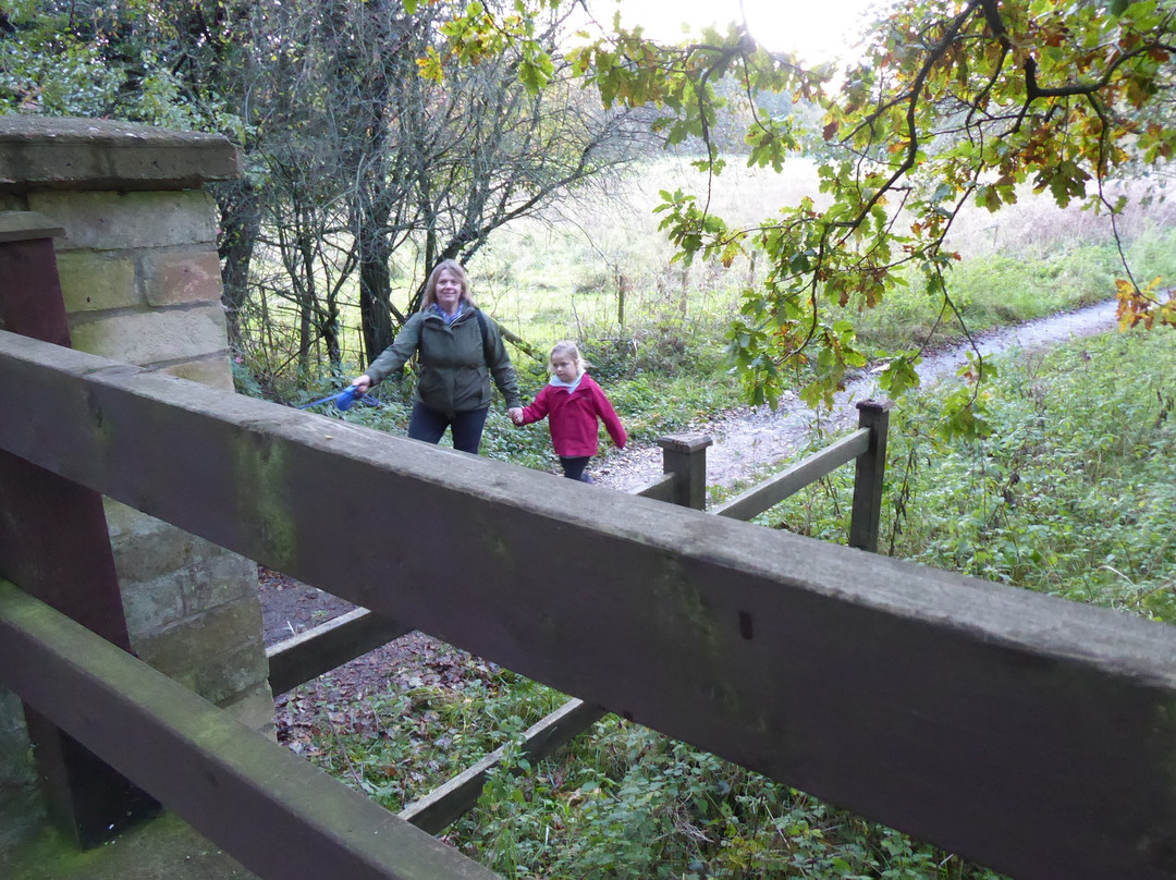 Lynford Arboretum-Mundford必去景点