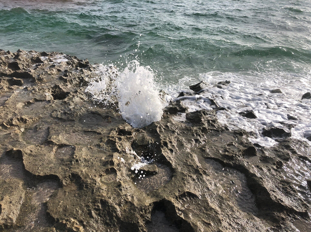 Ocean Reef Park-Riviera Beach必去景点