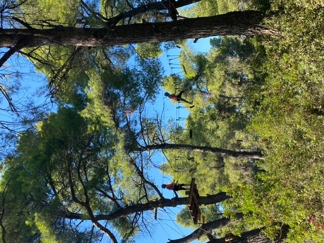 Sani Treetop Adventure景点图片