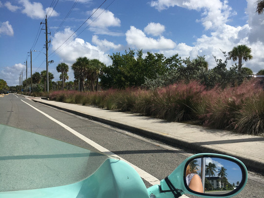 Robin Hood Rentals-西耶斯塔岛必去景点