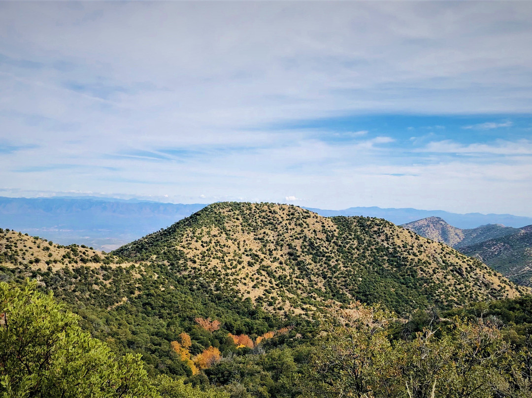 Oracle Adventure Rentals-Oracle必去景点