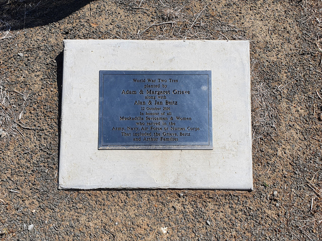 Muckadilla War Memorial-Roma必去景点