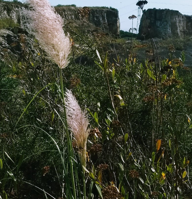 Forte da Carvalha景点图片