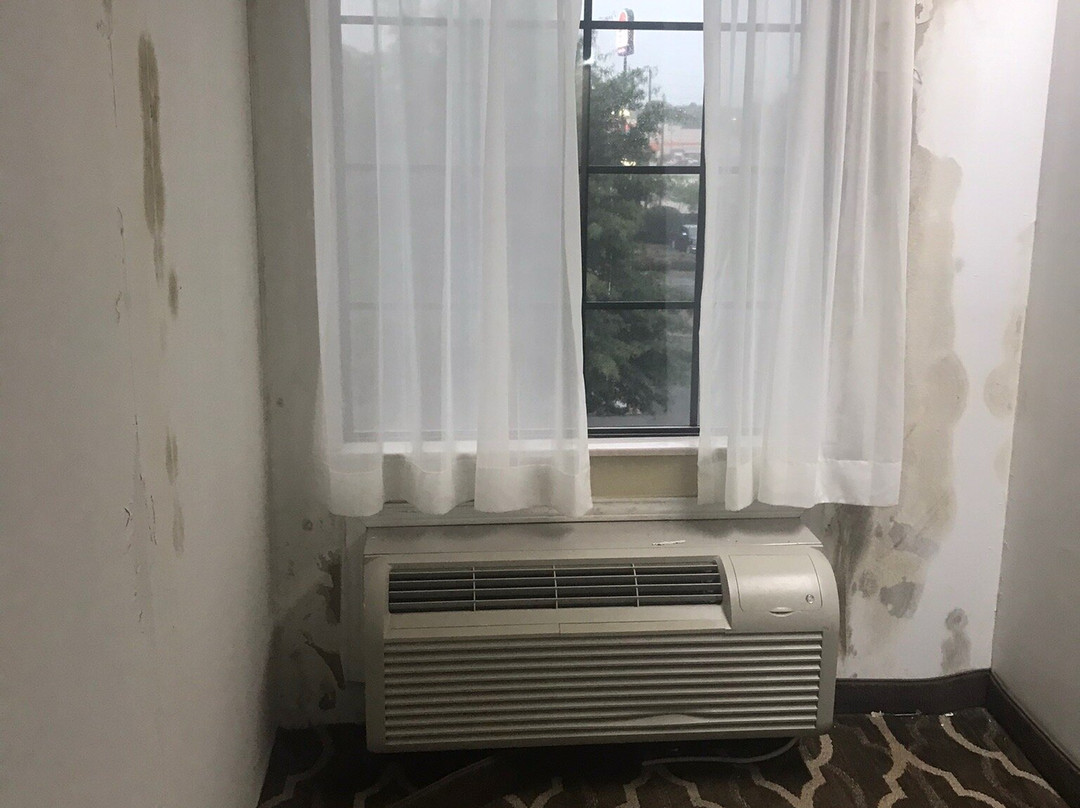 Comfort Inn Shreveport I-49主图