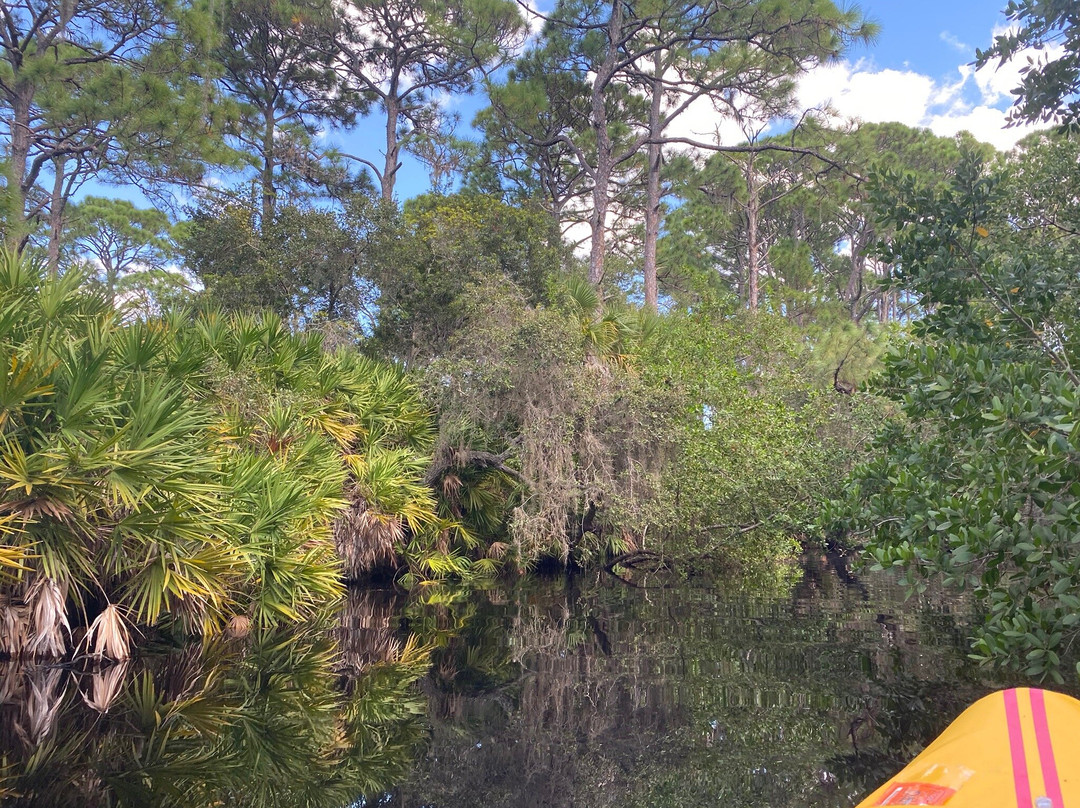 Oscar Scherer State Park-Osprey必去景点