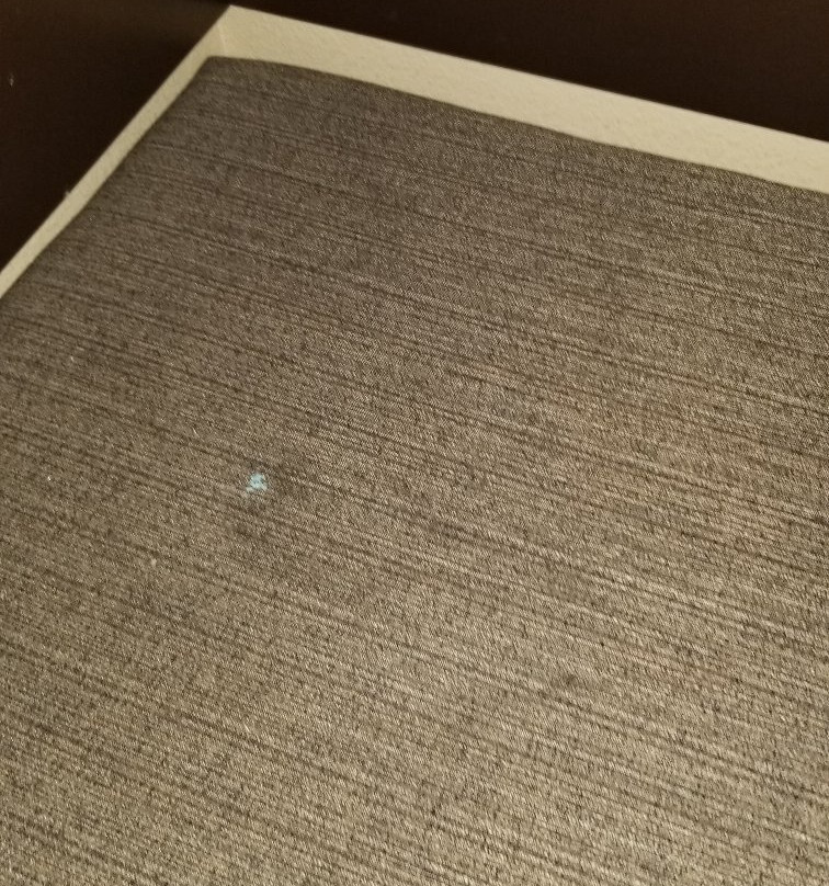 Baymont by Wyndham Jewett主图