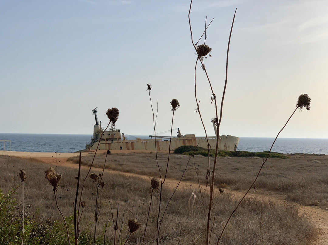 M/V EDRO III-帕福斯必去景点