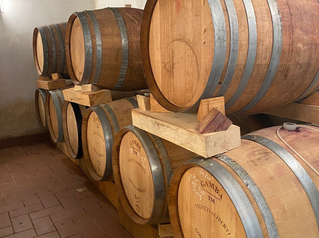 Vigneti Aliberti Azienda Agricola-Canelli必去景点