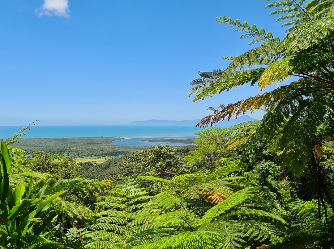 Mount Alexandra Lookout-Cape Tribulation必去景点
