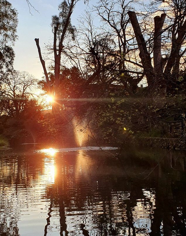 Merriwa Park-Wangaratta必去景点