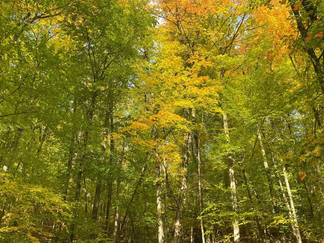 Morgan Falls-Marquette必去景点