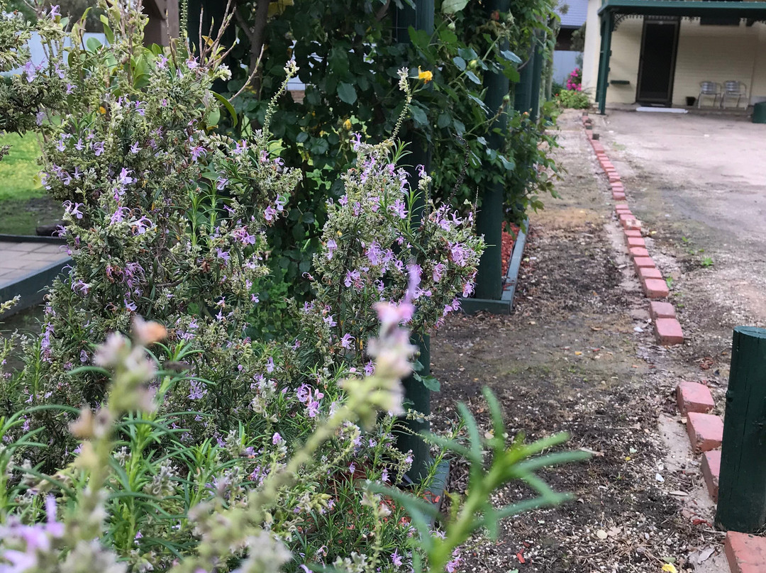 玫瑰城汽车旅馆主图