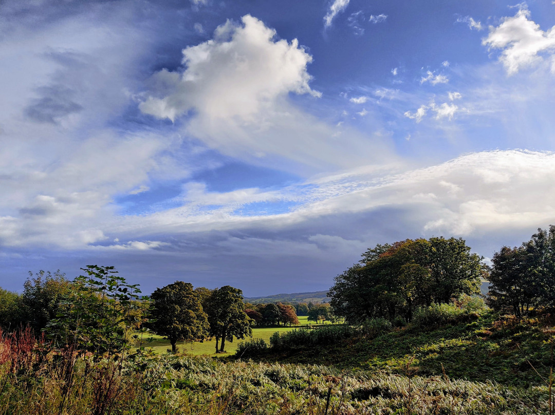 Guisborough Forest景点图片