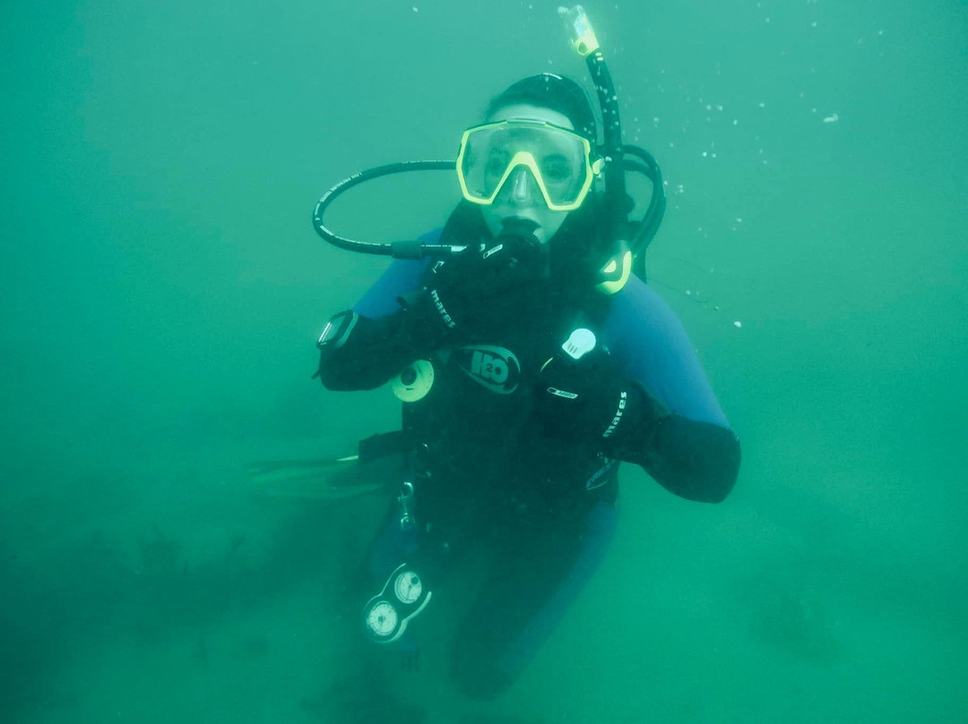 SCUBA SOCAL ADVENTURES-拉荷亚必去景点