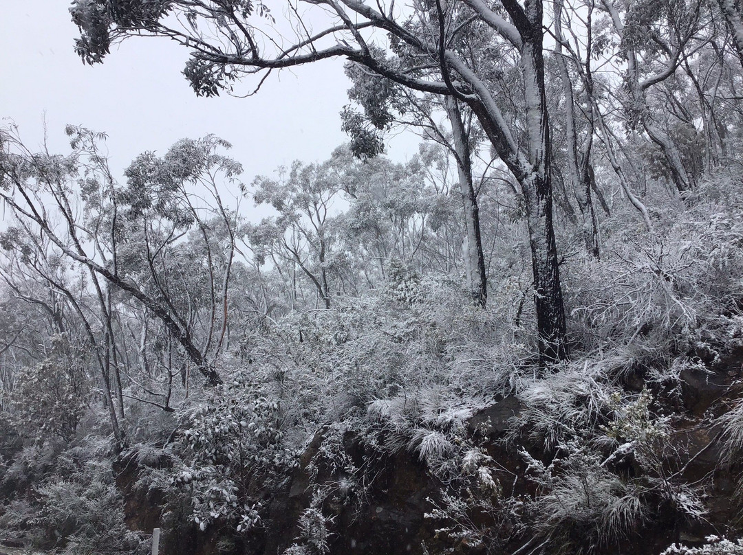 Mt William-贺思盖必去景点