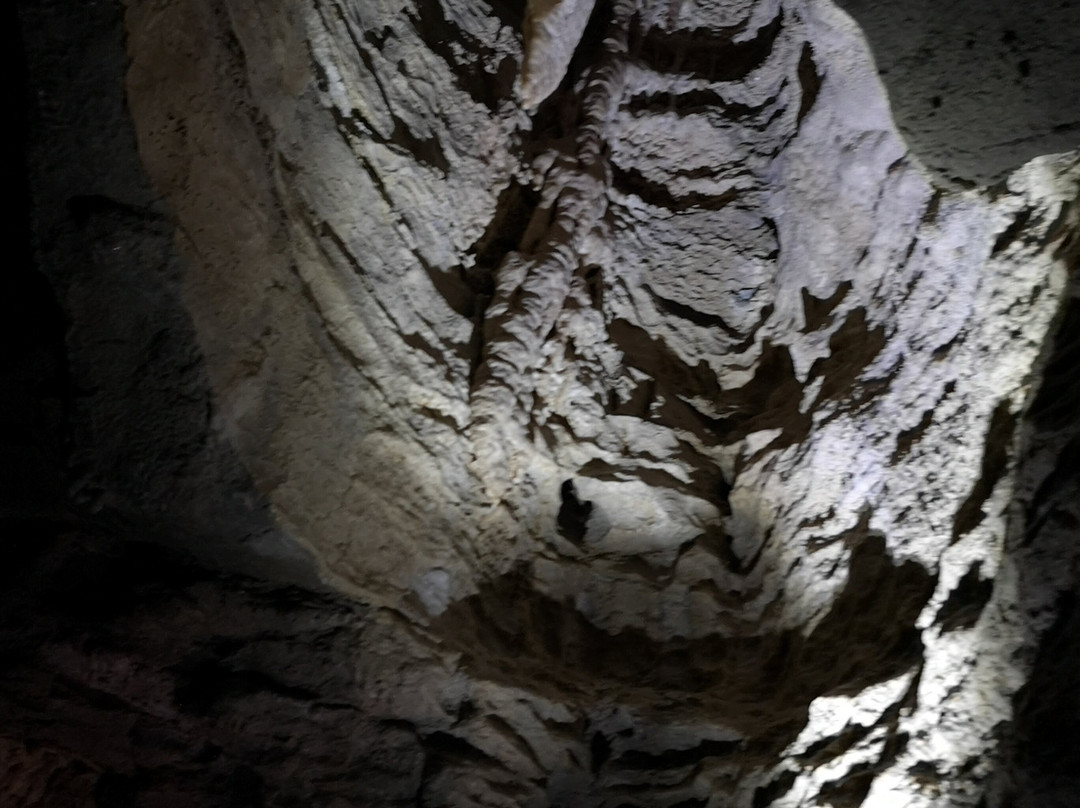 Footwhistle Glowworm Cave景点图片