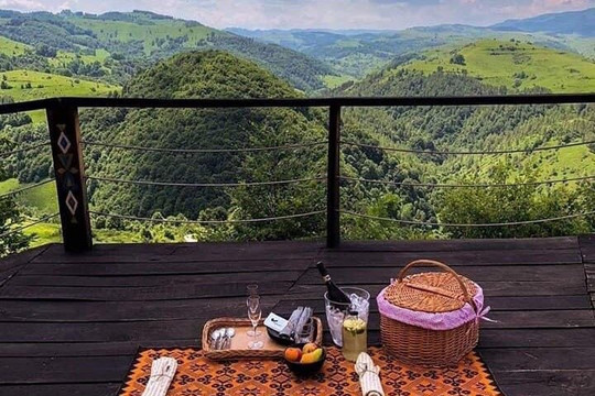 Hummingbird paradise-斯里贾亚瓦德纳普拉必去景点