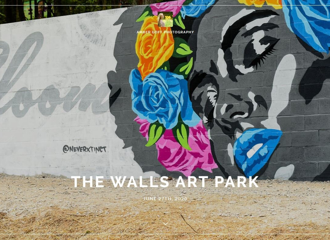 The Walls Art Park景点图片