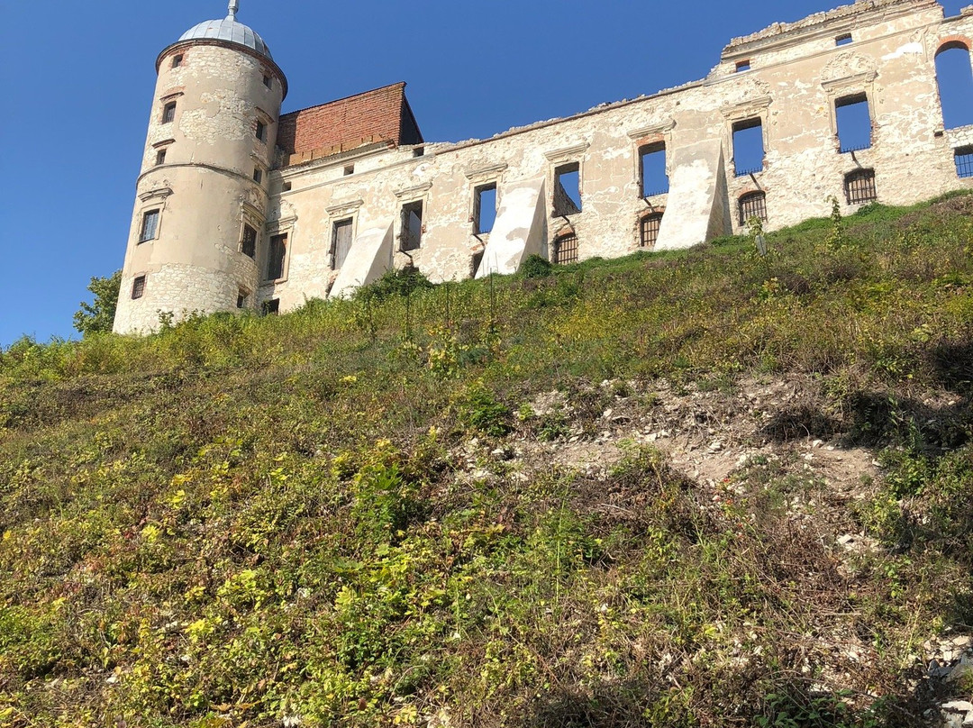 Janowiec Castle景点图片