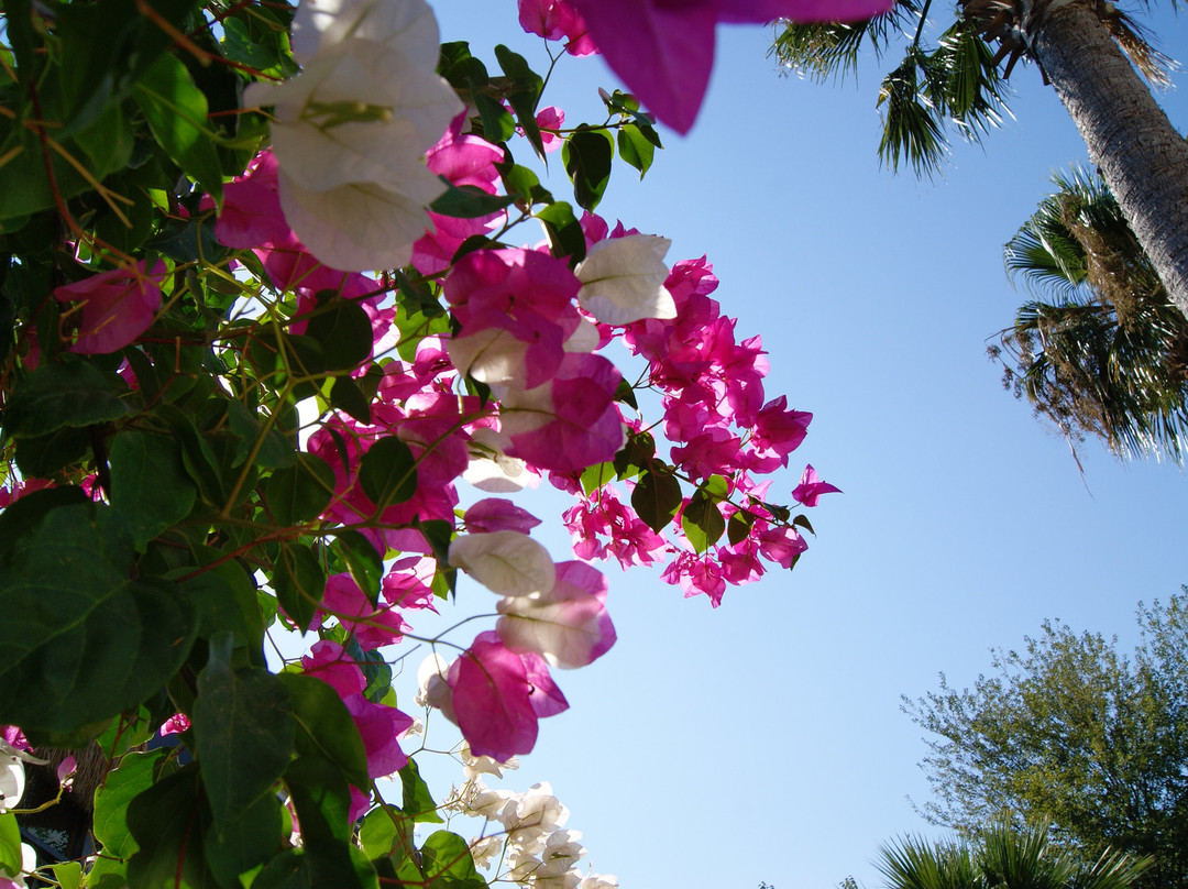 Bitez Garden Life Hotel & Suites主图