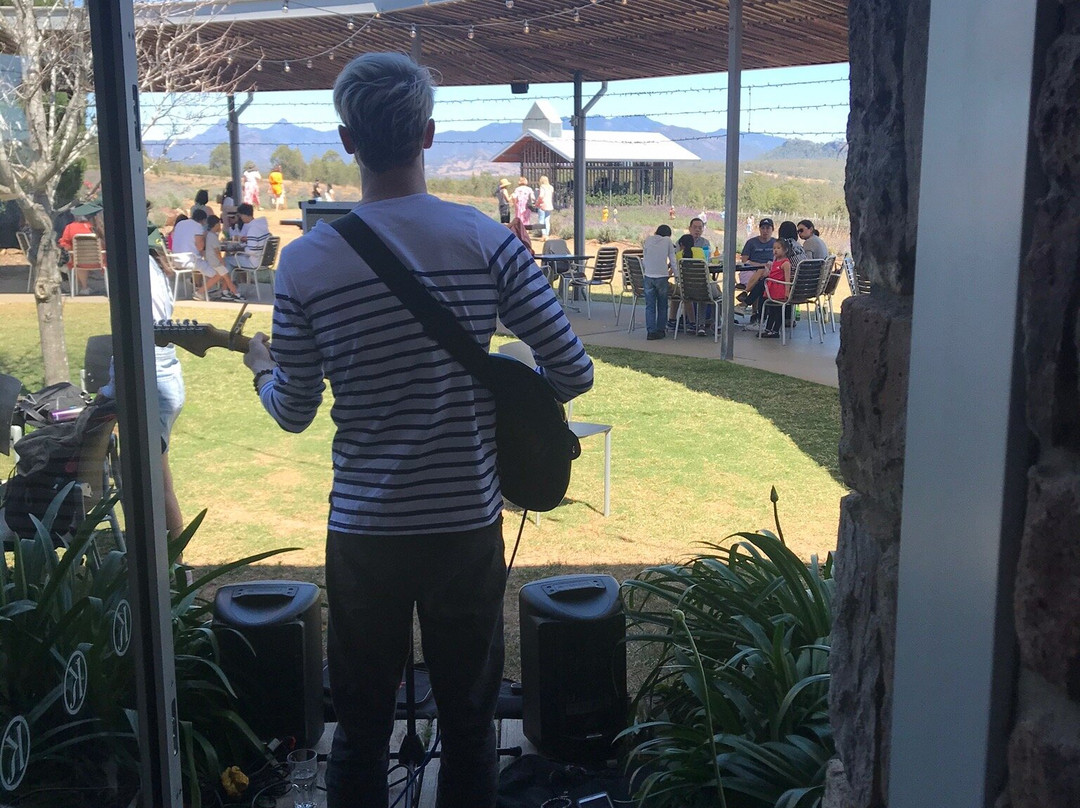 Local Taste Discoveries - Farm-gate Tours景点图片