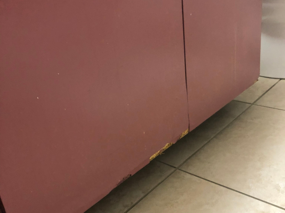 Oceanique Resort主图