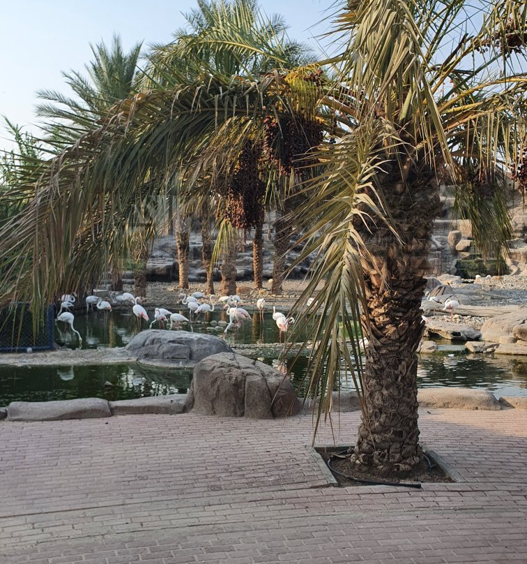 Sharjah Natural History Museum and Desert Park-沙迦必去景点