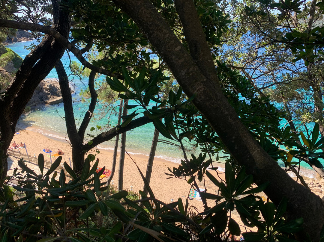 滨海岩石酒店主图