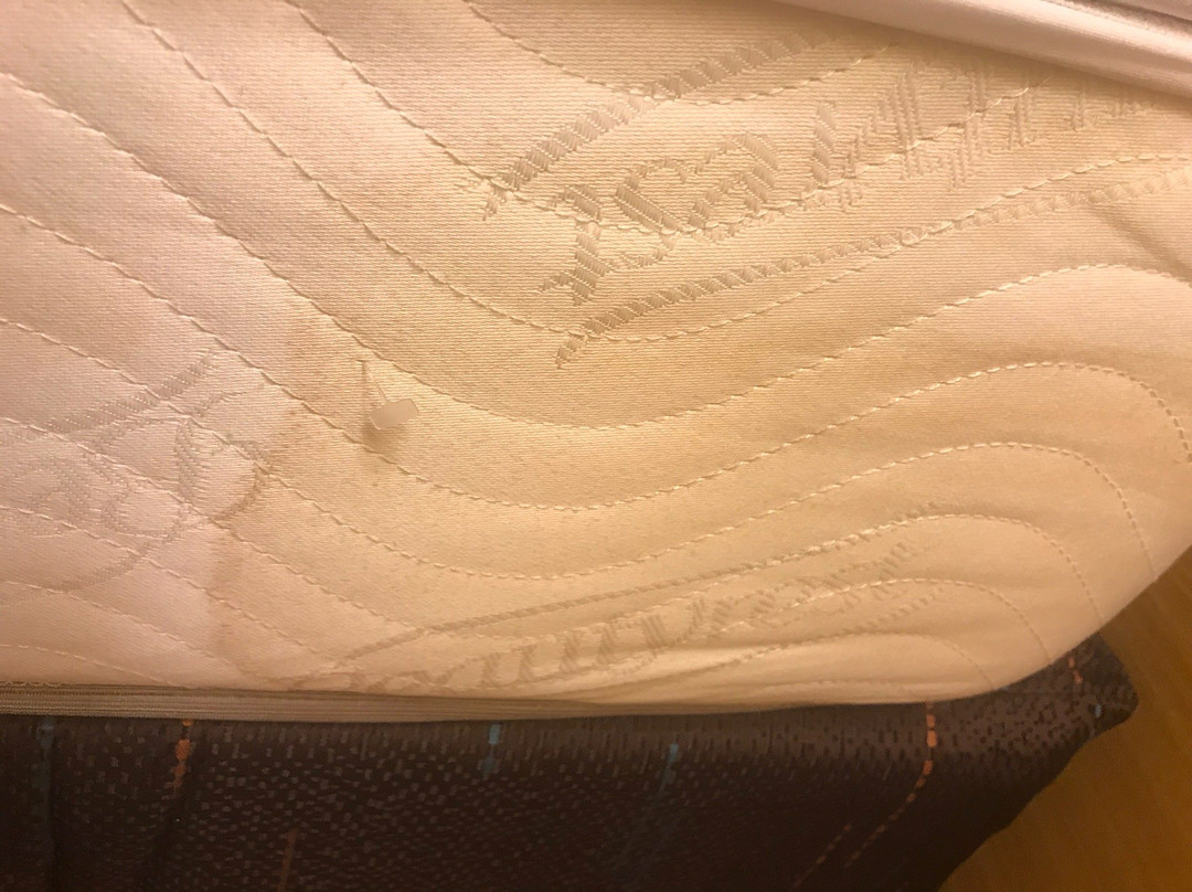 Fairfield by Marriott Inn & Suites Atlanta Cumming/Johns Creek主图