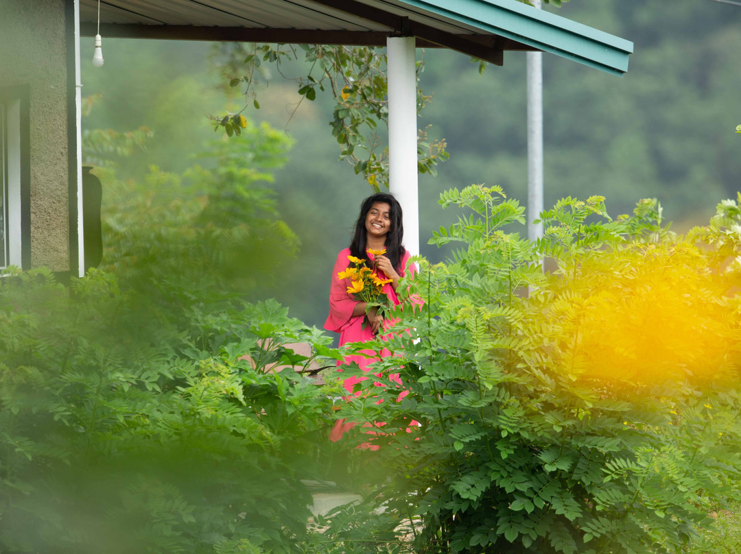 Mount K Resort主图