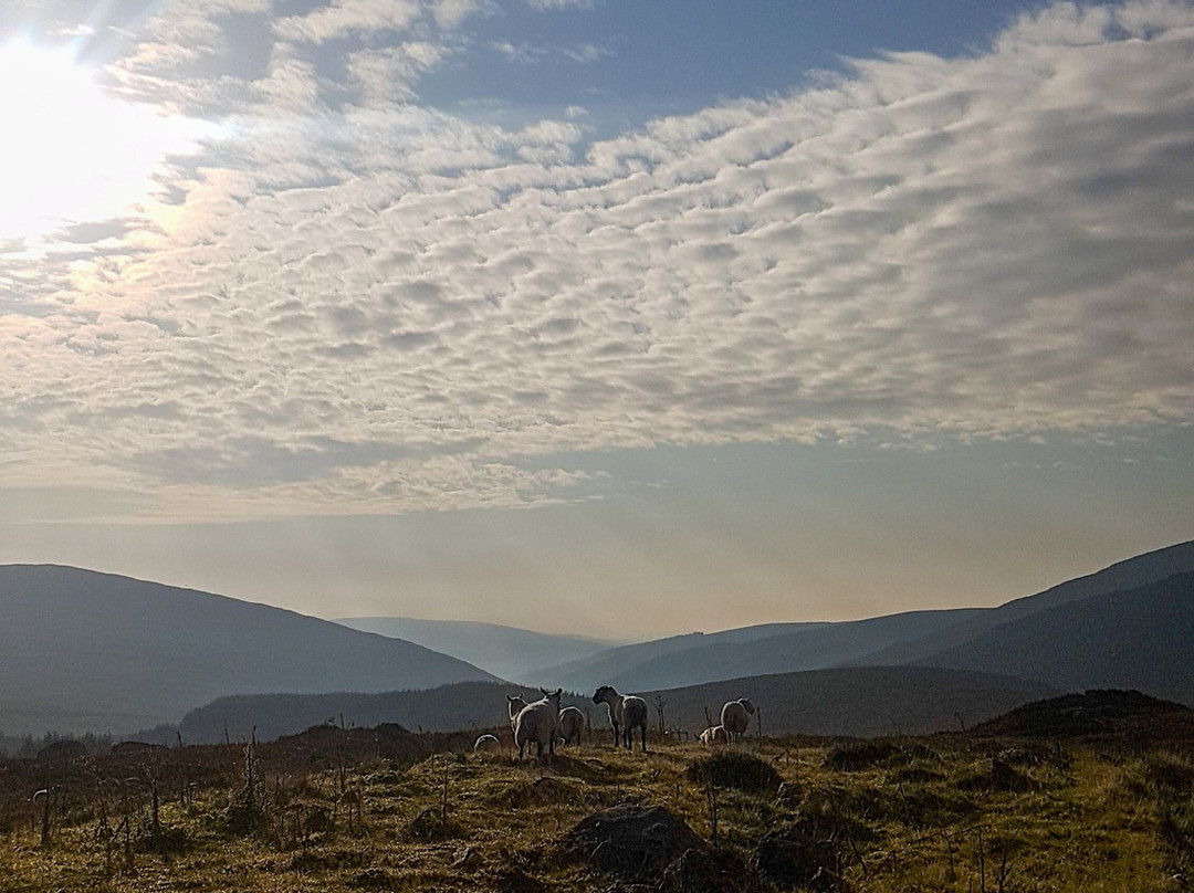 Wicklow Scenic Walks-Wicklow必去景点