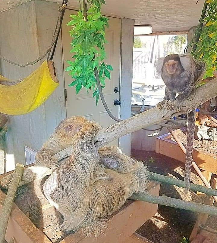 Log Cabin Lodge and Suites主图