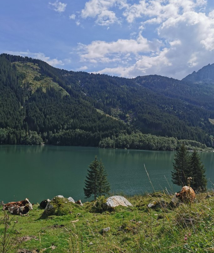 Stausee Durlassboden-加洛斯必去景点