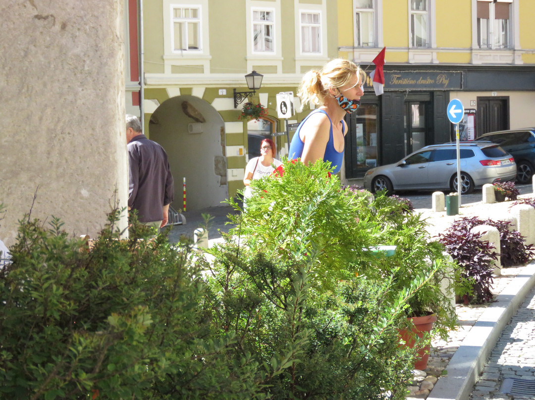 Slovenski trg Square景点图片