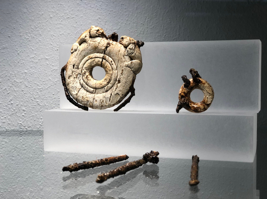 Museo Nazionale d'Abruzzo - MuNDA景点图片