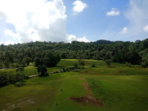 兰卡威珍南海滩法维酒店-酒店景观
