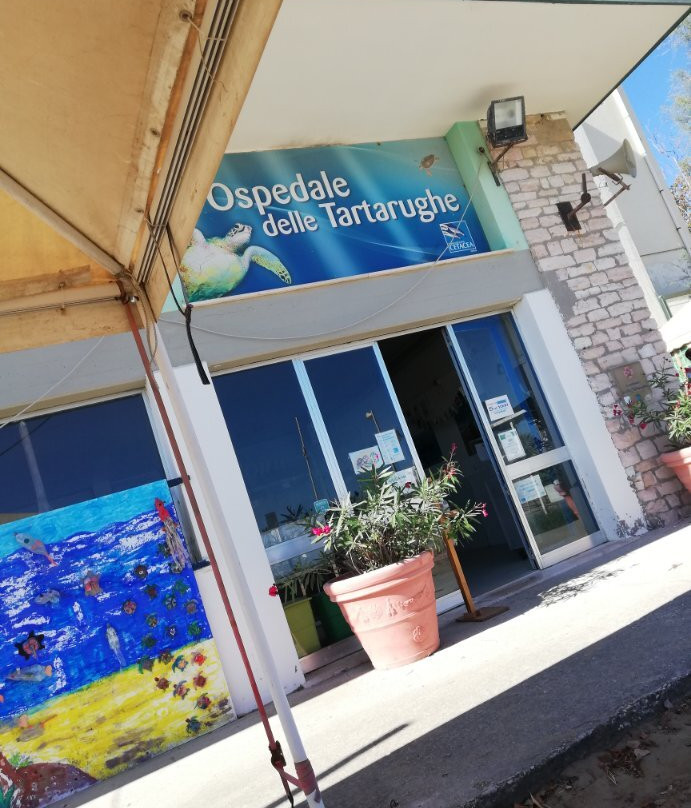 Ospedale delle Tartarughe景点图片