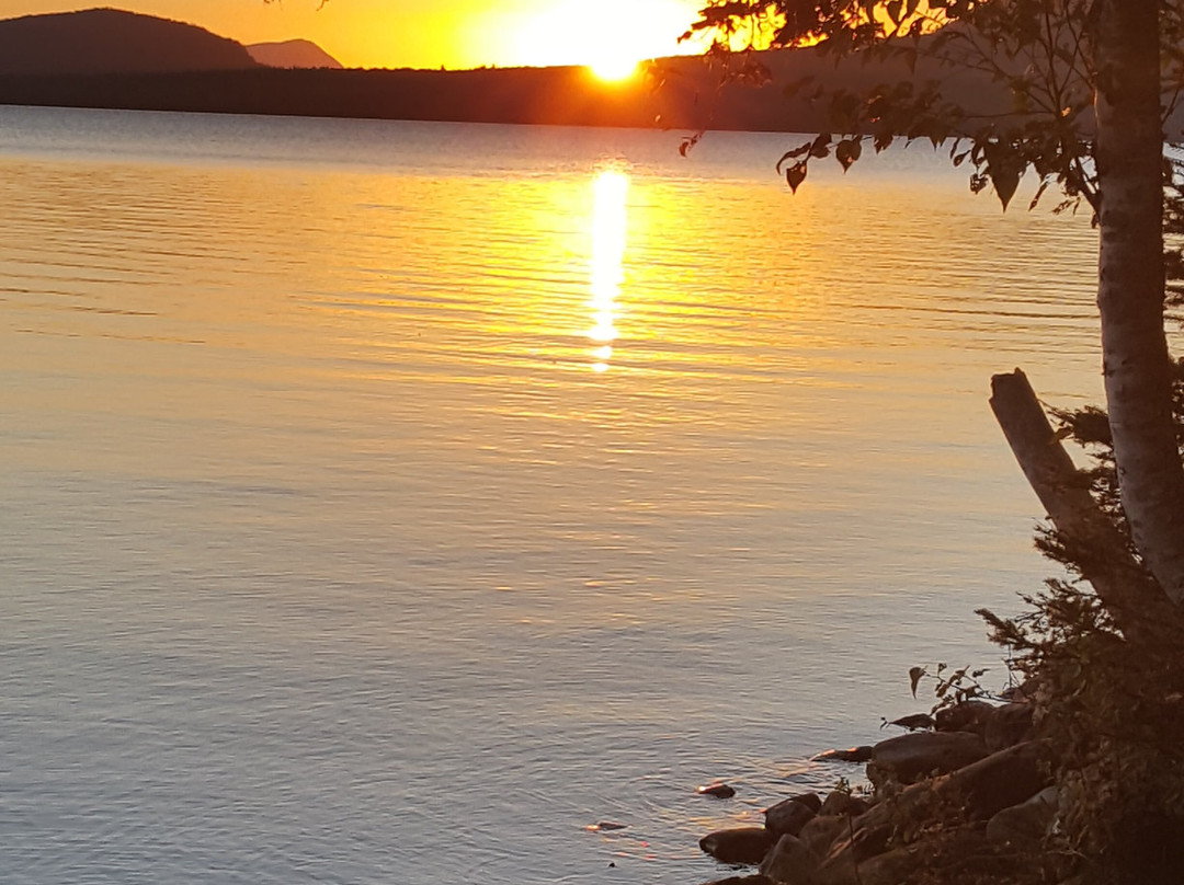 The Birches Resort主图