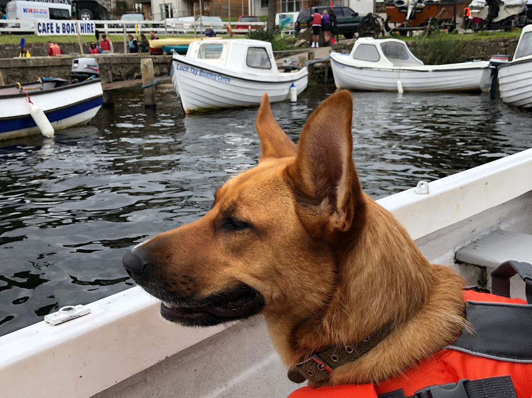 Loch Tay Boating Centre-Kenmore必去景点