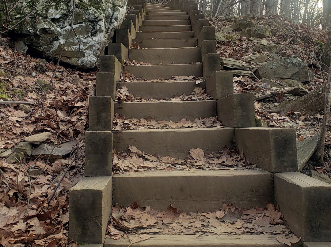 Humpback Rocks Visitor Center and Mountain Farm-Lyndhurst必去景点