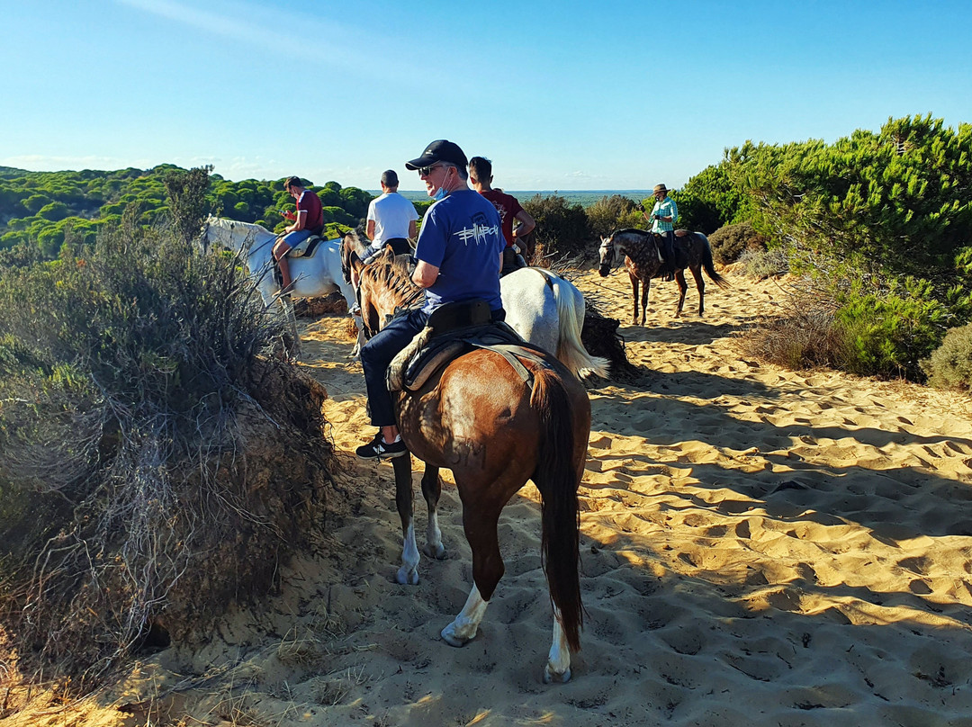 Doñana Hipica El Pasodoble景点图片